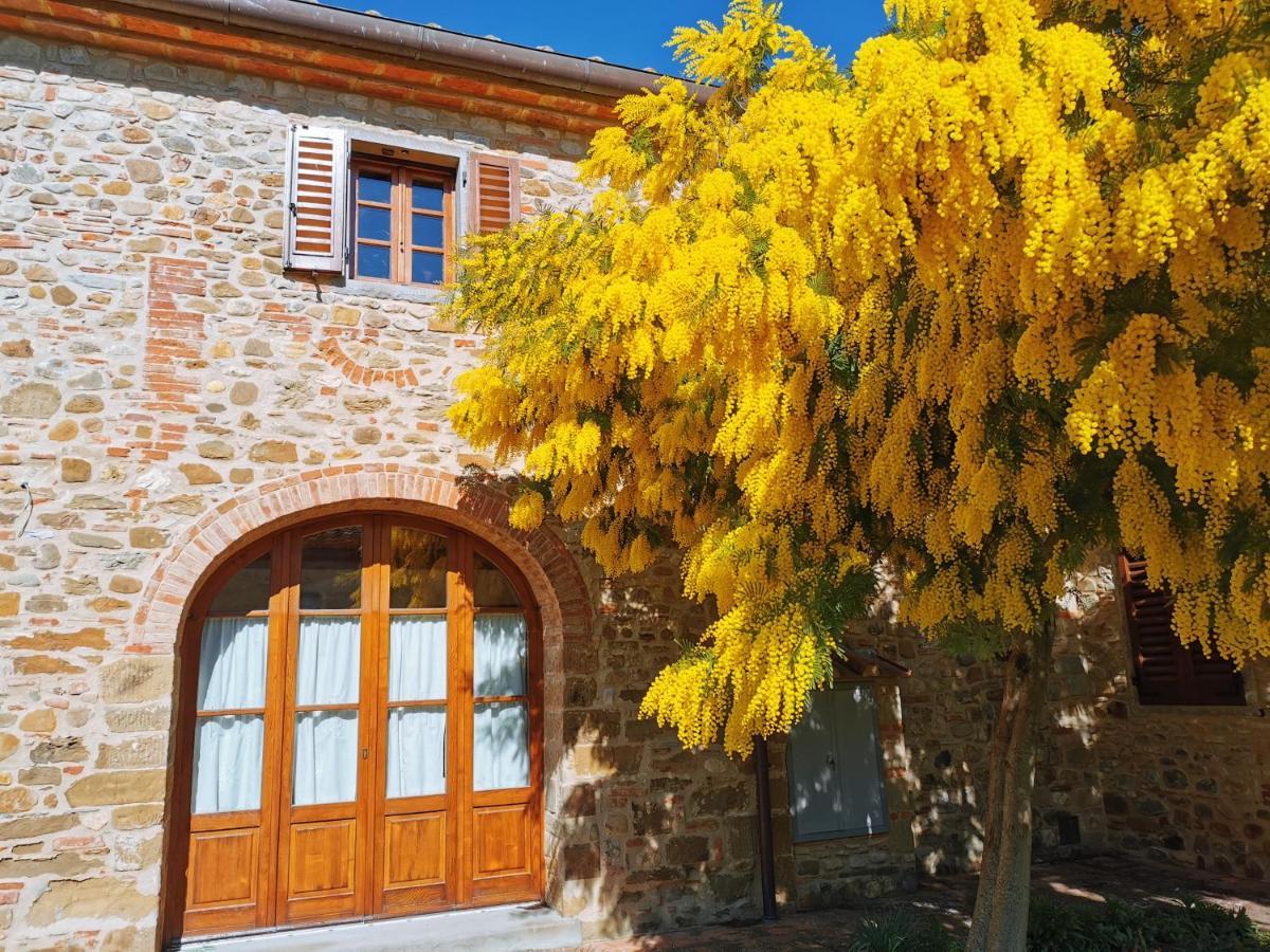 Antico Borgo Frosini Βίλα Αρέτσο Εξωτερικό φωτογραφία